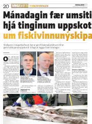 Síða 20