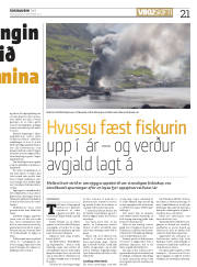 Síða 21