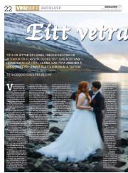Síða 22