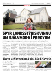 Síða 3