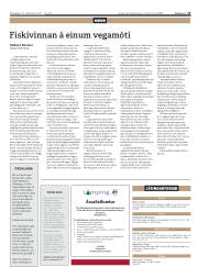 Síða 11
