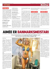 Síða 13