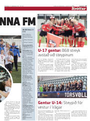 Síða 17