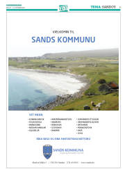 Síða 33