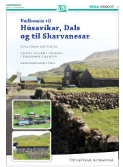 Síða 35
