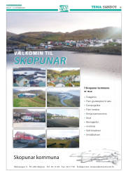 Síða 39