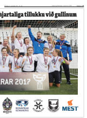 Síða 13