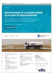 Síða 18