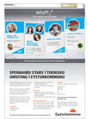Síða 3