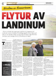 Síða 6