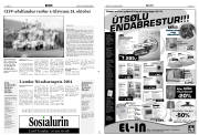 Síða 13