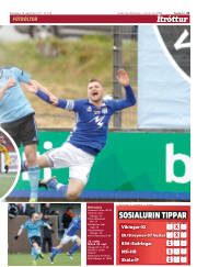 Síða 21