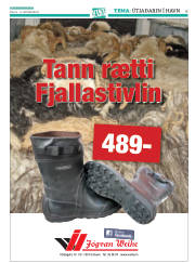 Síða 37