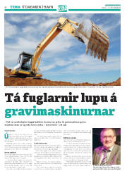 Síða 38