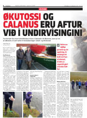 Síða 8