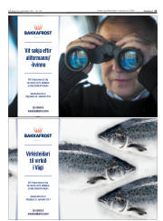 Síða 11