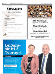 Síða 14