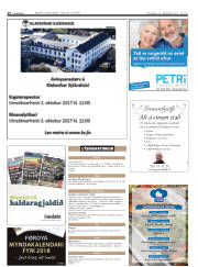 Síða 16