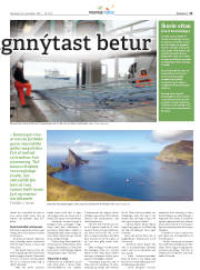 Síða 33