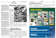Síða 2
