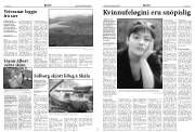Síða 4