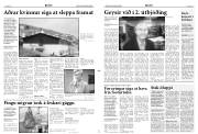 Síða 5