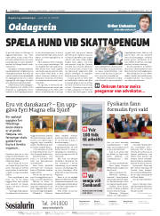 Síða 2
