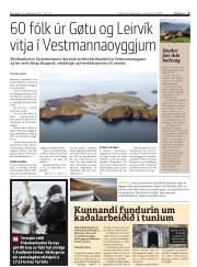Síða 3