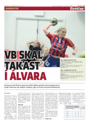 Síða 17