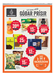 Síða 3