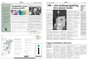Síða 8