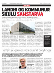 Síða 8