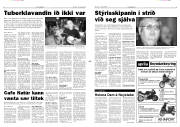 Síða 3
