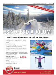 Síða 19