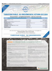 Síða 20