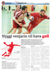 Síða 40
