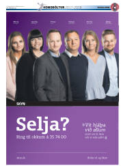 Síða 41