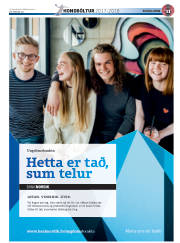 Síða 43