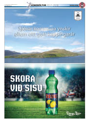 Síða 47