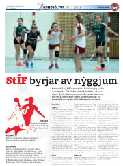 Síða 61