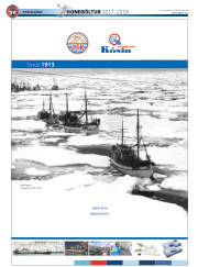 Síða 62