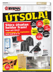 Síða 3
