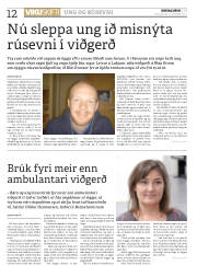 Síða 12