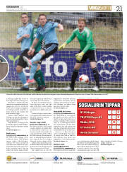 Síða 21