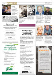 Síða 22
