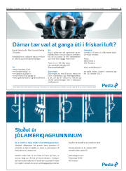 Síða 3