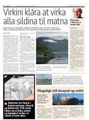 Síða 8
