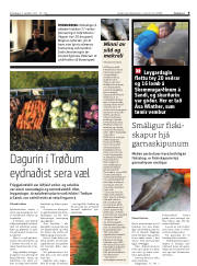 Síða 9