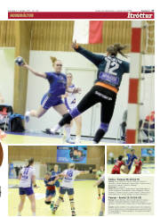 Síða 17