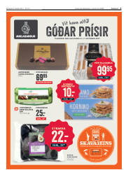Síða 3